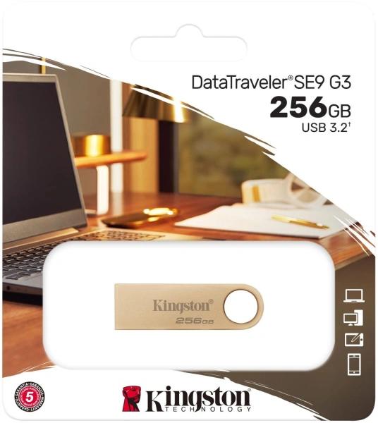 Флеш Диск Kingston 256GB DataTraveler SE9 DTSE9G3/256GB USB3.0 серебристый