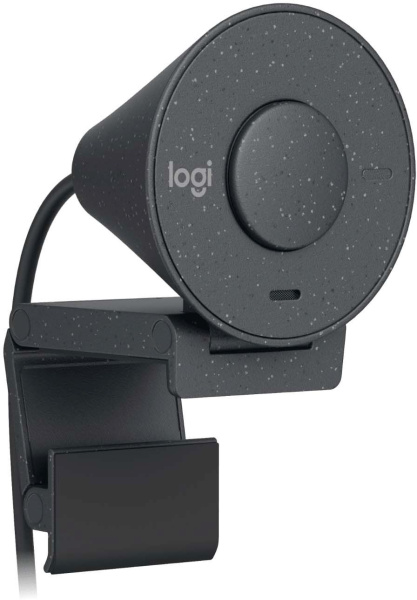 Камера Web Logitech HD Webcam Brio 300 серый 2Mpix (1920x1080) USB Type-C с микрофоном (960-001436)