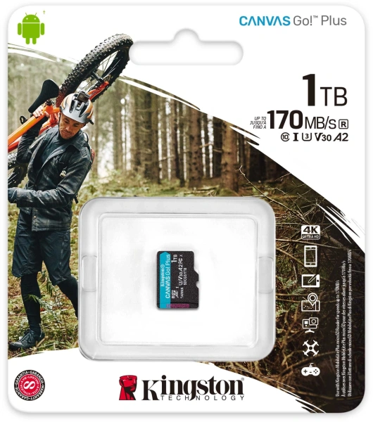 Флеш карта microSDXC 1TB Kingston SDCG3/1TBSP Canvas Go! Plus w/o adapter