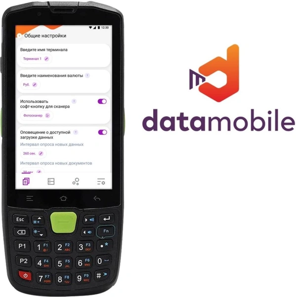 Неискл. право на исп-ие ПО DataMobile версия Стандарт подп.1г. (DM12M)